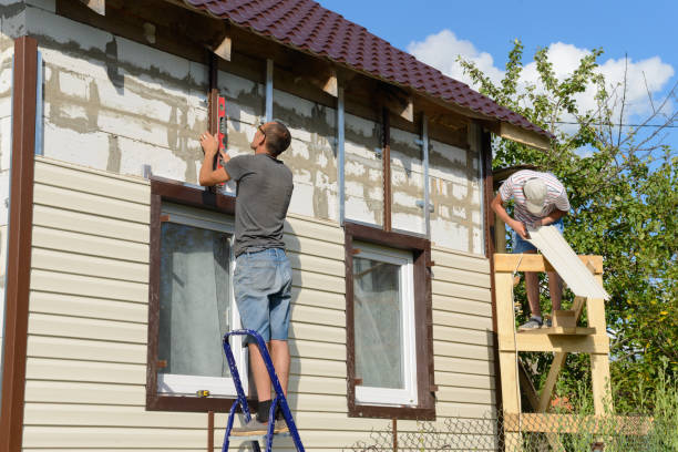 Best Fascia and Soffit Installation  in Hector, MN